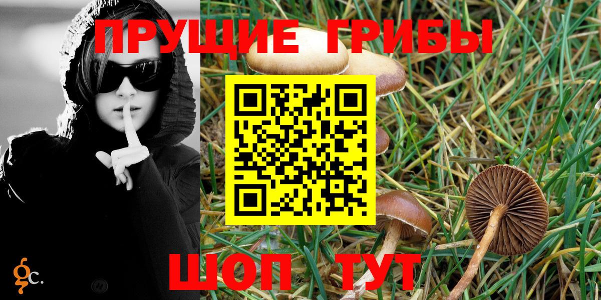 что такое   Псилоцибиновые грибы Magic Shrooms  Галлюциногенные грибы мухоморы  Вход с VPN  Свободный 